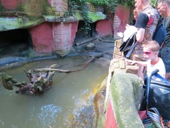 amersfoort12