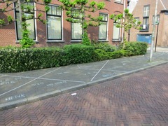 Koningsdag101