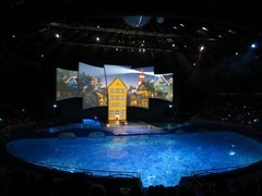 dolfinarium19