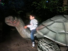 Efteling199