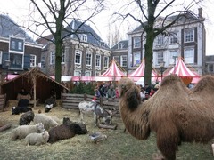 Dordrecht13