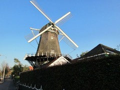 DeJongeDikkert17