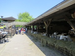 Geitenboerderij28