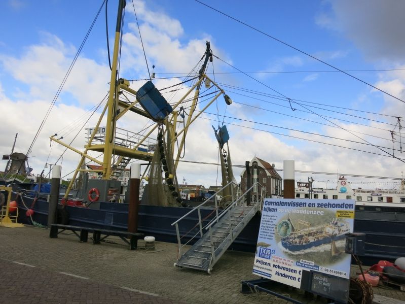 Texel島のエビ釣り漁船に乗ろう Amstelveen Blog