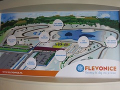 Flevonice31