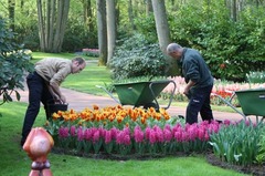 Keukenhof01