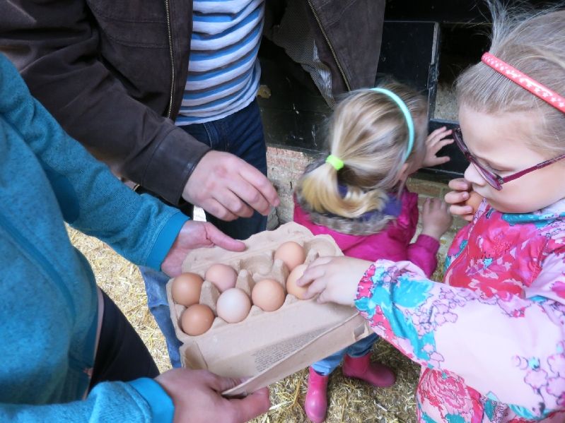 Bos公園内 ヤギ公園 Geitenboerderij のお勧めpoint Amstelveen Blog Bos公園内 ヤギ公園 Geitenboerderij のお勧めpoint Amstelveen Blog