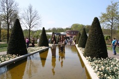 Keukenhof23