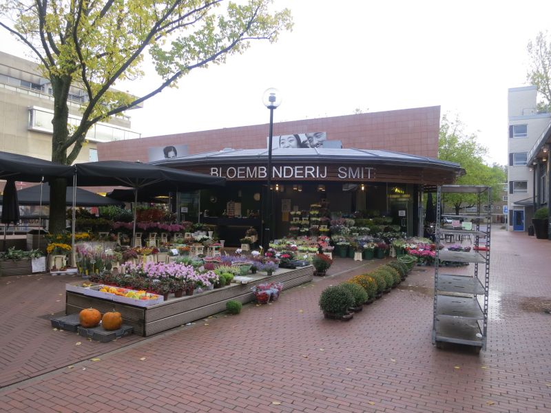 オランダで花を買おう Amstelveen Blog オランダで花を買おう Amstelveen Blog