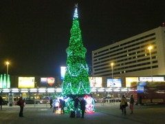 DisneyTree06