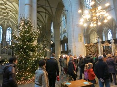 Dordrecht25