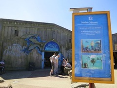 dolfinarium25