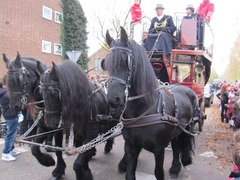 Sinterklaas06