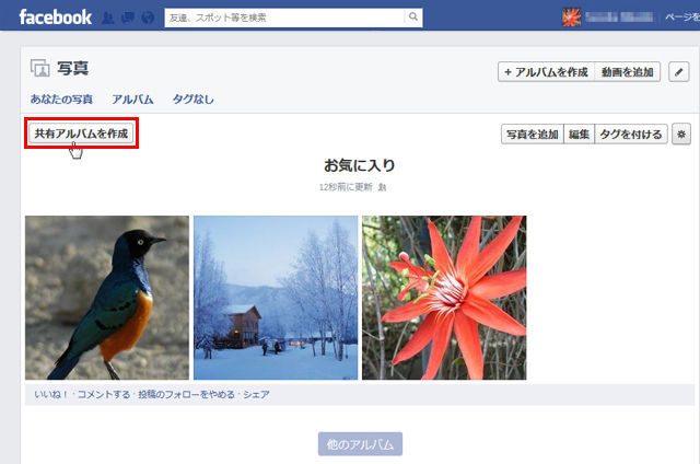 Facebookでお気に入りの写真アルバムを友達と共有する 知っ得 虎の巻 知っ得 虎の巻