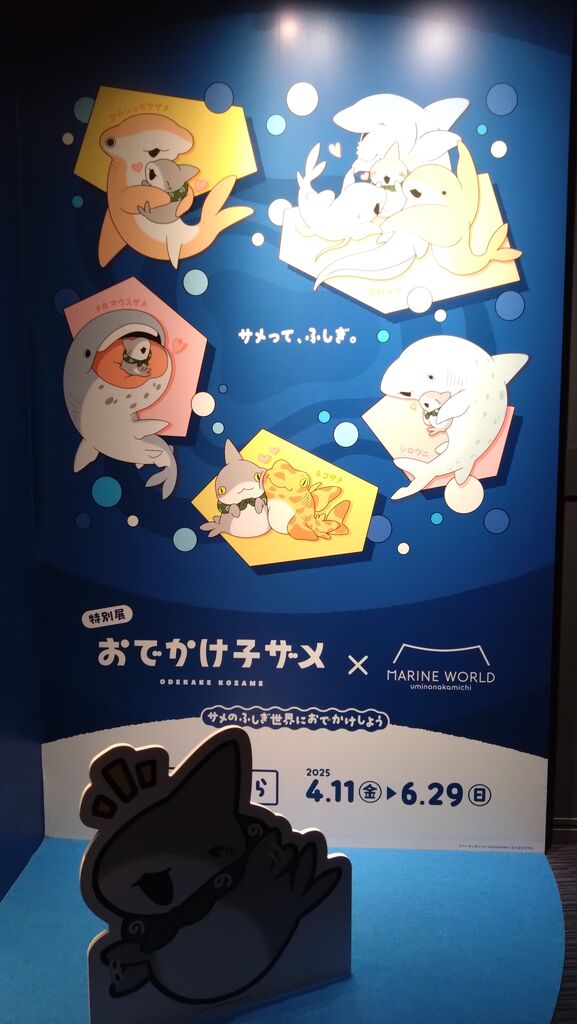 【最終値下げ】おでかけ小ザメ マリンワールド コラボ セット まとめ売り コンプ 最終値下げ】おでかけ小ザメ マリンワールド コラボ セット