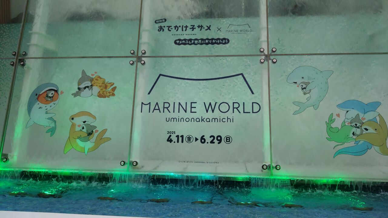 おでかけ子ザメコラボ！マリンワールド海の中道に行ってきた話
