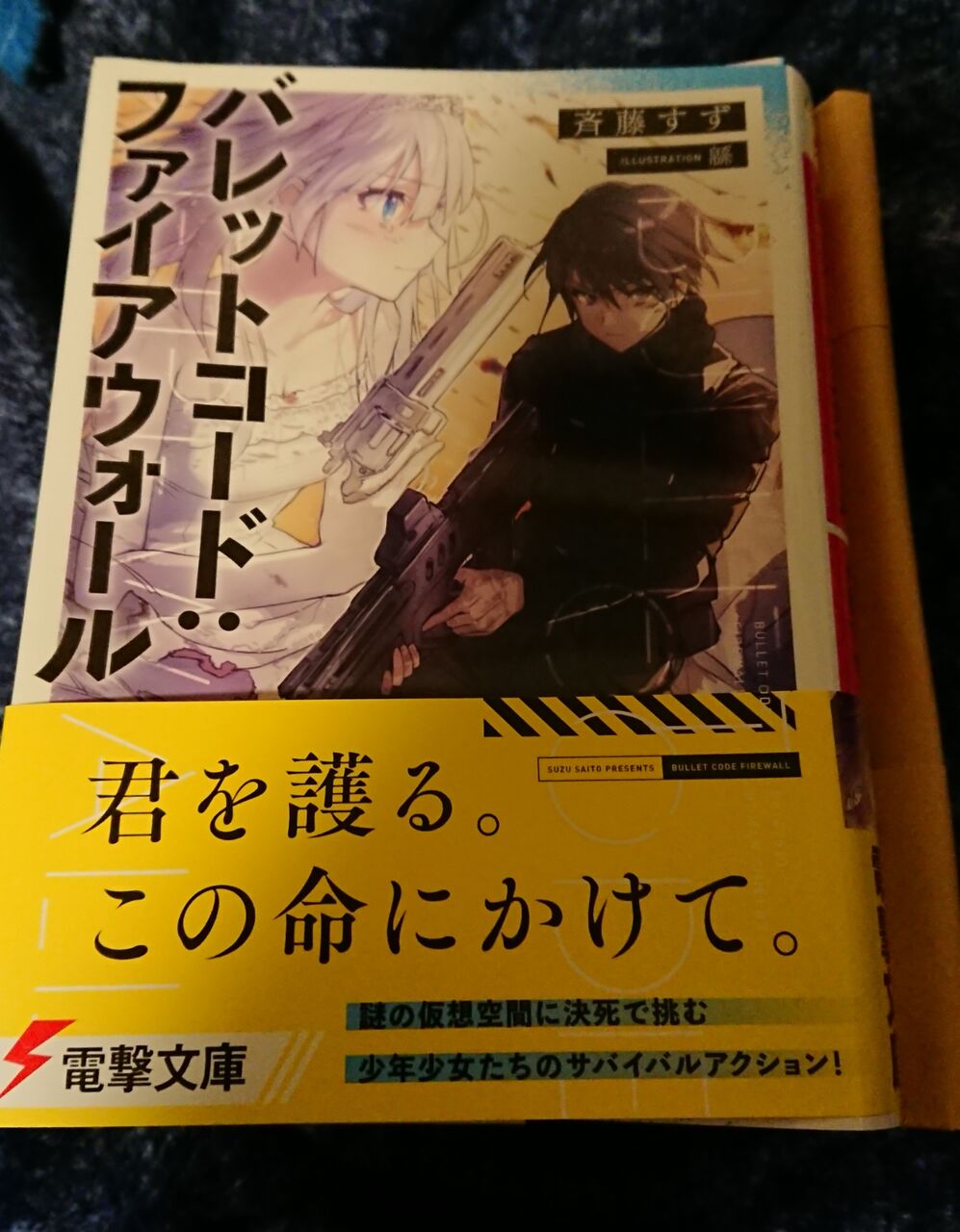 バレットコード ファイアウォール 感想 意味の無い宝物 バレットコード ファイアウォール 感想 意味の無い宝物