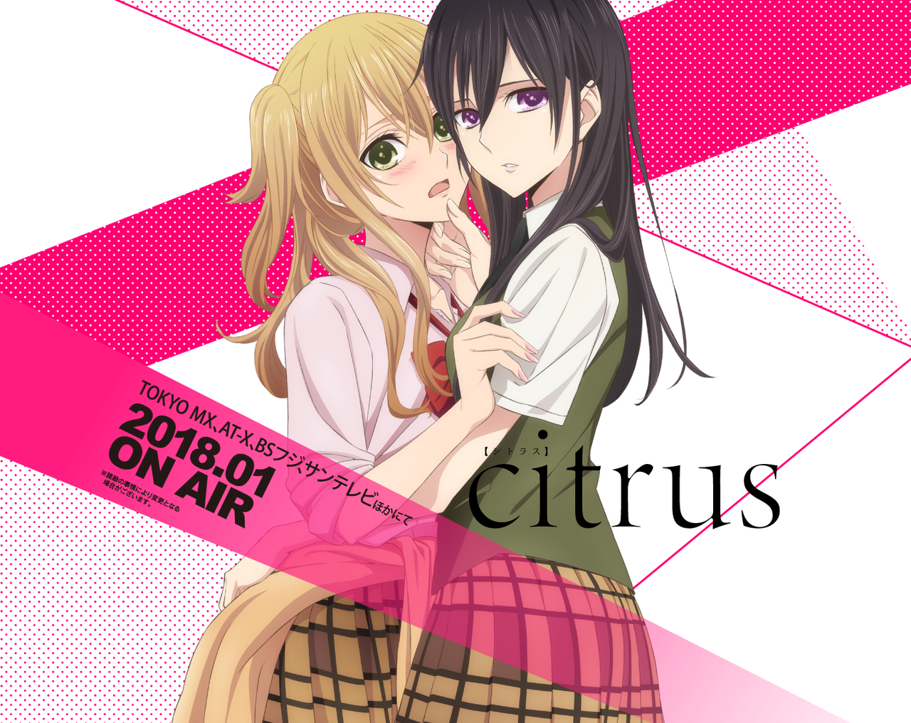 今年買った本まとめ 百合 コミック版 意味の無い宝物 今年買った本まとめ 百合 コミック版 意味の無い宝物