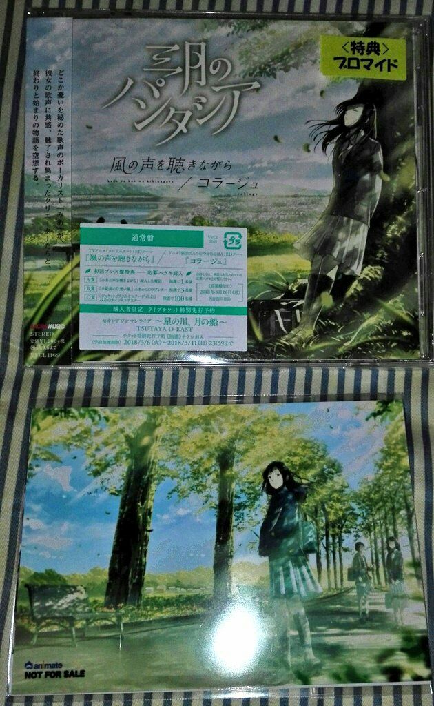 風の声を聴きながら 感想 意味の無い宝物