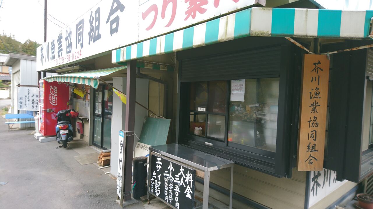 年1月 大阪の芥川マス釣り場でニジマス釣り エリアトラウト 猪丸の釣りとグルメと