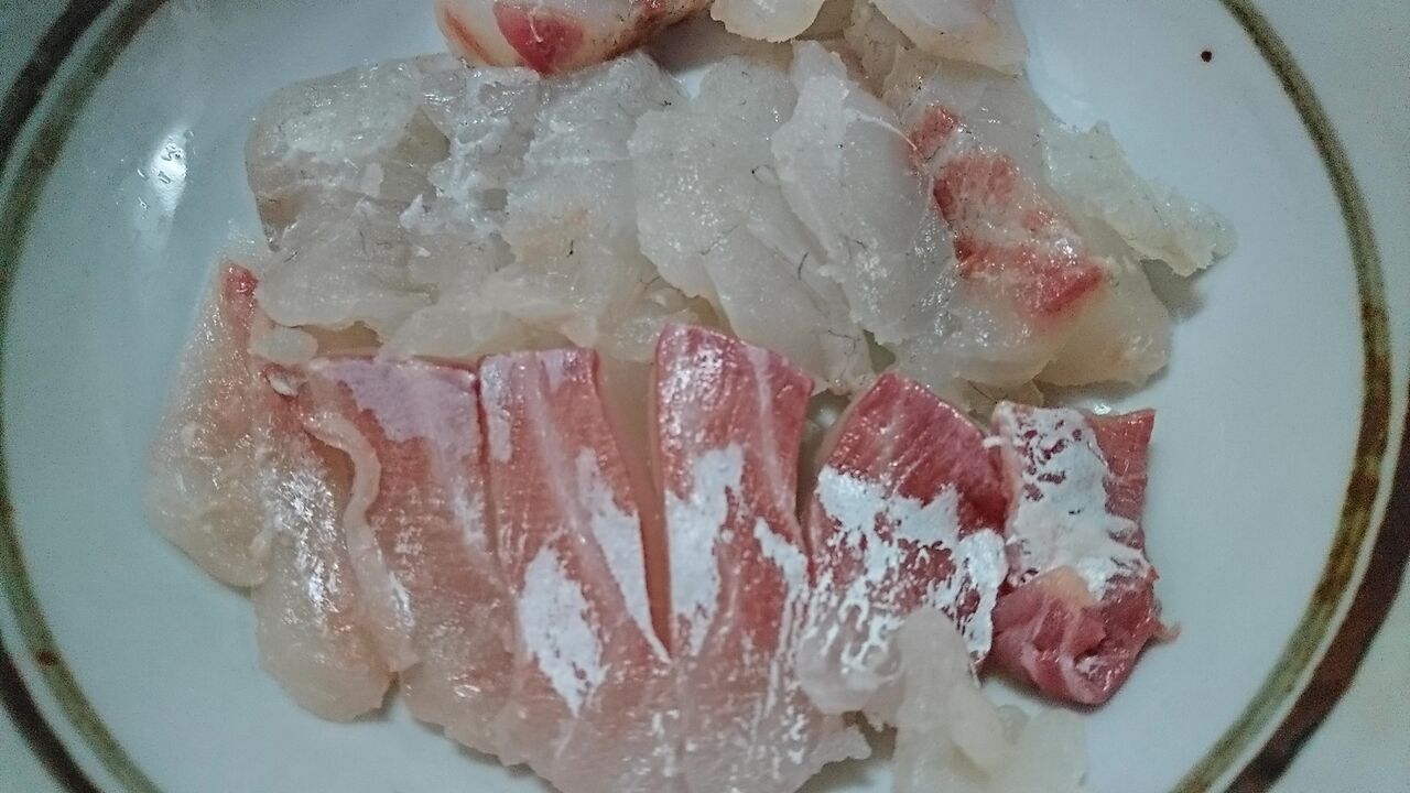 チヌ グレ 100時間熟成のお刺身 神戸のチヌ クロダイ とグレ メジナ 自己流熟成のやり方 猪丸の釣りとその他諸々