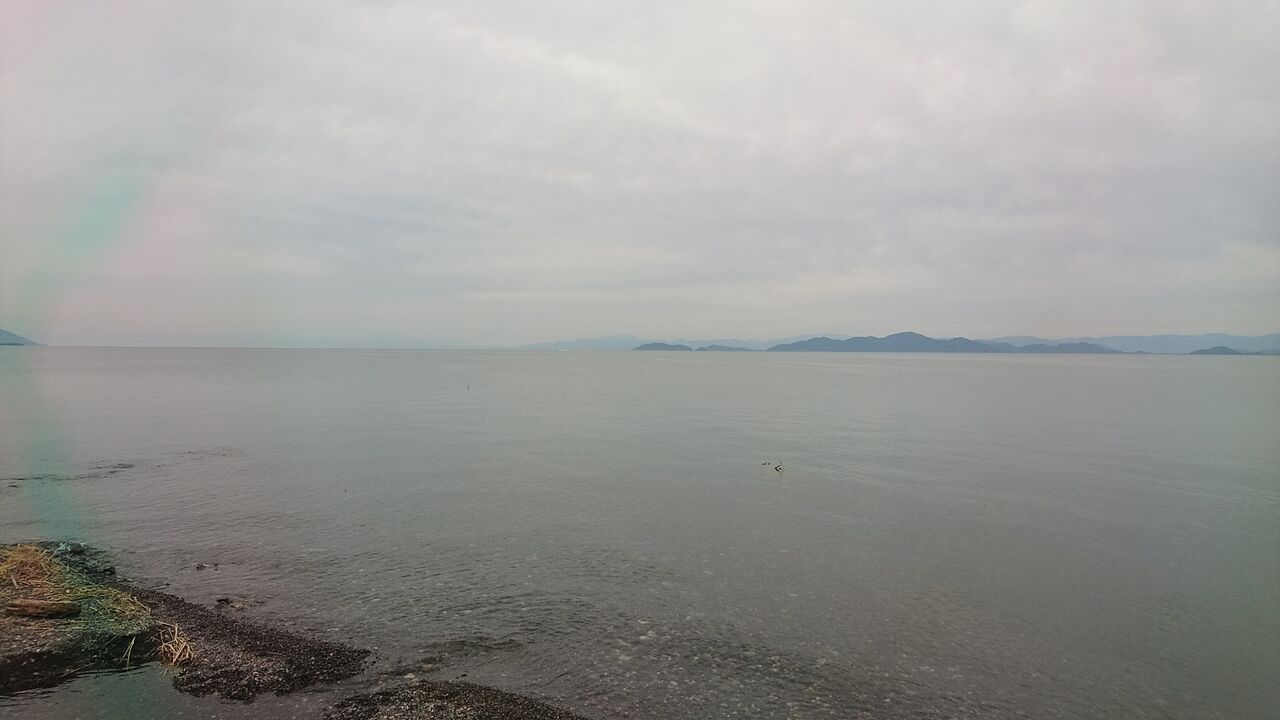 21年6月釣行記録 ケタバス釣り 琵琶湖でハス釣り 肉食淡水魚をルアーで狙う ハス釣り ハス料理 猪丸の釣りとグルメと