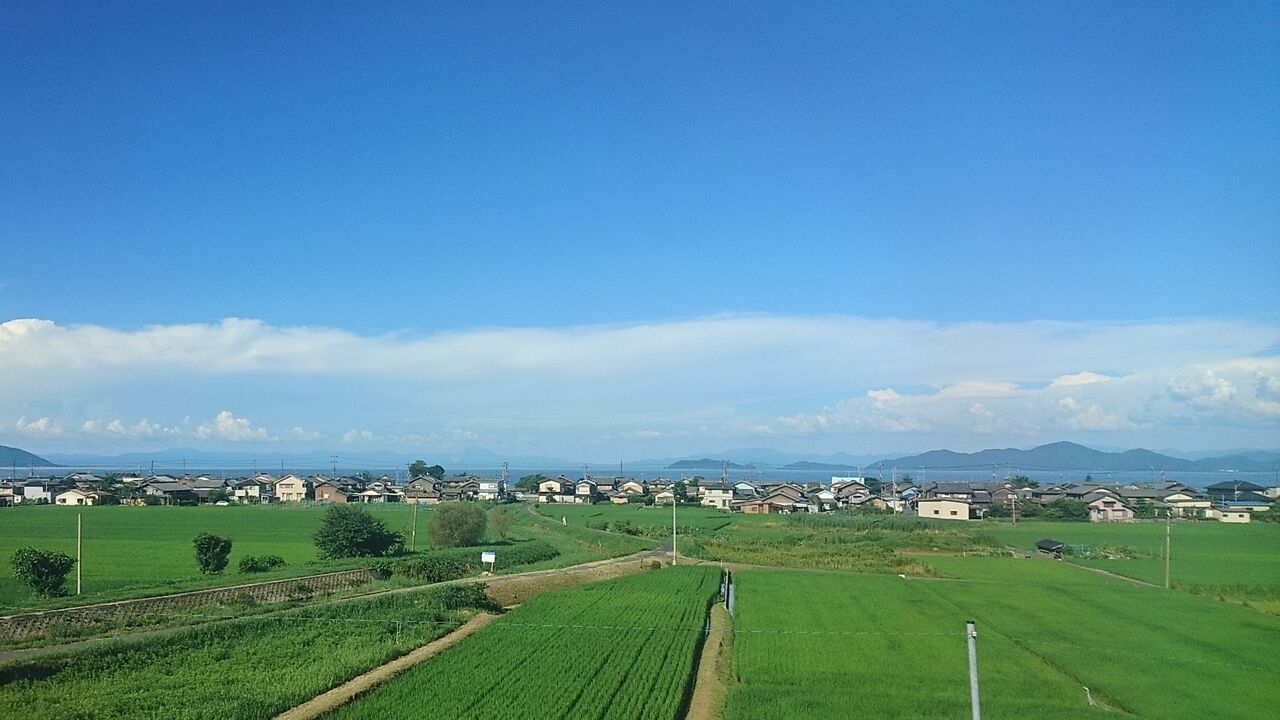 21年7月釣行記録 尺越え登場 ルアーで盛夏のハス釣り エリアタックルで遊ぶケタバスゲーム 琵琶湖ハス釣り ケタバス釣り 猪丸の釣りとグルメと