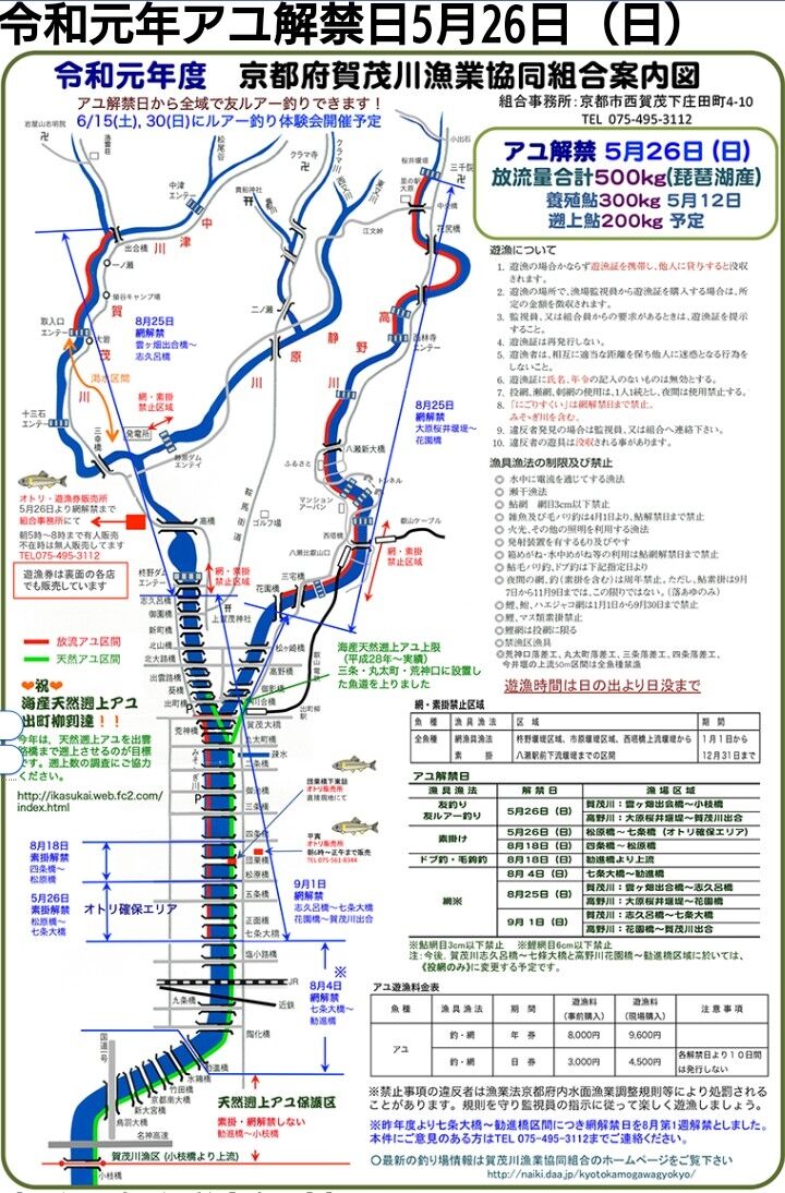 京都市 鴨川 賀茂川 の渓流釣り アマゴ イワナ ニジマス釣り 貴船川 鞍馬川 静原川 高野川など 猪丸の釣りとグルメと