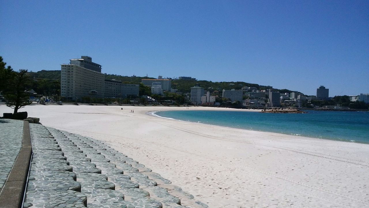 ガシラ(カサゴ) : 猪丸の釣りとその他諸々