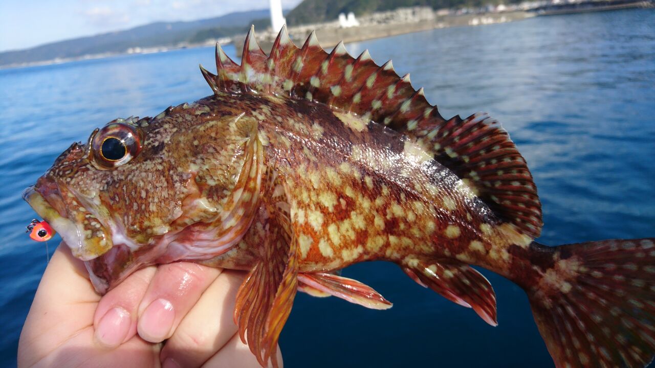 パックロッド】汎用性抜群のコンパクトロッド！ダイワ ファントムTR