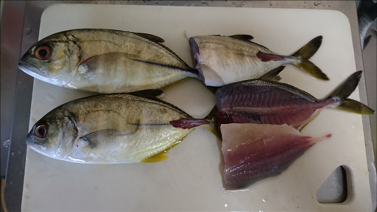 メッキは赤身 白身 高知で釣ったメッキの刺身と塩焼き ライトゲーム 猪丸の釣りとグルメと
