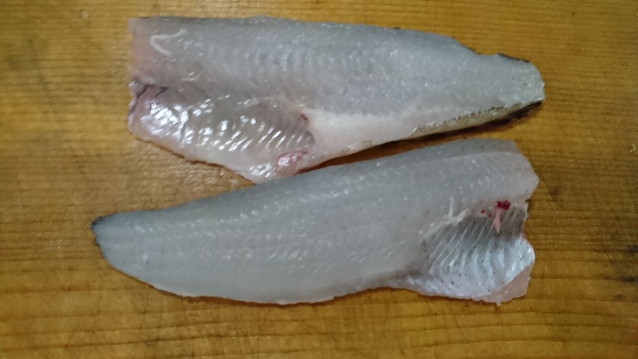 年6月釣行記録 神戸 垂水方面 サビキ釣りとちょい投げとライトゲーム ルアーでクジメ 豆アジ 小サバ キス 猪丸の釣りとその他諸々