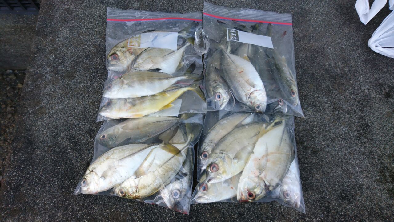 年総集編 フカセ釣りからライトゲーム 渓流まで 今年楽しかった釣りをまとめました 猪丸の釣り 猪丸の釣りとその他諸々