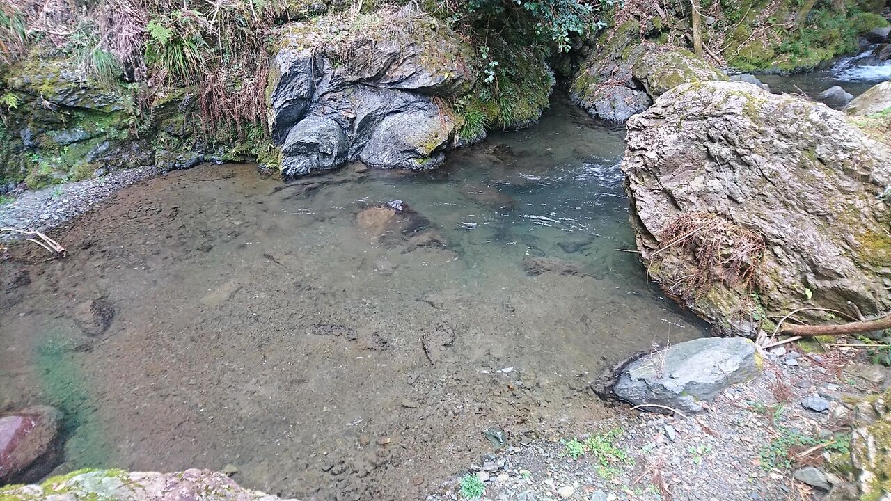 京都 渓流 釣り