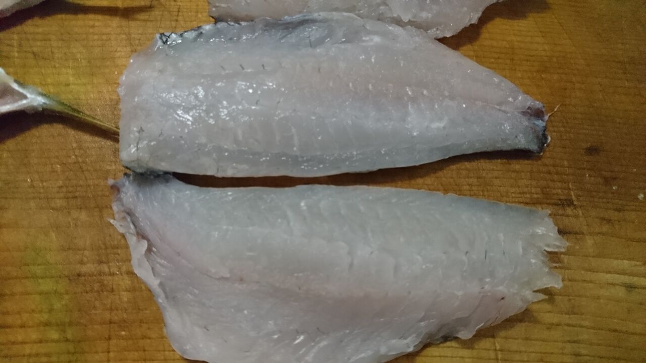 170時間 グレ メジナ を1週間寝かしました 一週間熟成の味やいかに 熟成魚 猪丸の釣りとグルメと