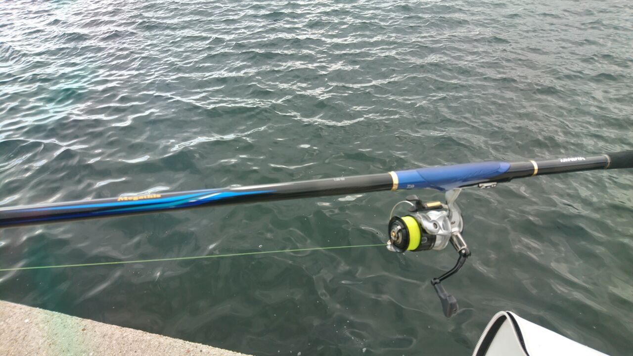 年10月釣行記録 神戸 防波堤でグレ チヌ アジ ダイワ メガディスで行く五目フカセ釣り 堤防釣り 猪丸の釣りとその他諸々