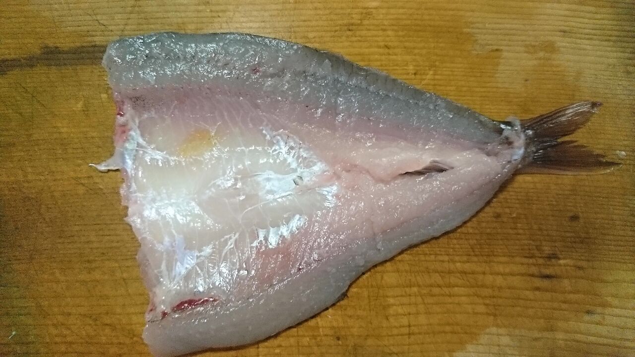 21年6月釣行記録 ケタバス釣り 琵琶湖でハス釣り 肉食淡水魚をルアーで狙う ハス釣り ハス料理 猪丸の釣りとグルメと 21年6月釣行記録 ケタバス釣り 琵琶湖でハス釣り 肉食淡水魚をルアーで狙う ハス釣り ハス料理 猪丸の釣りとグルメと