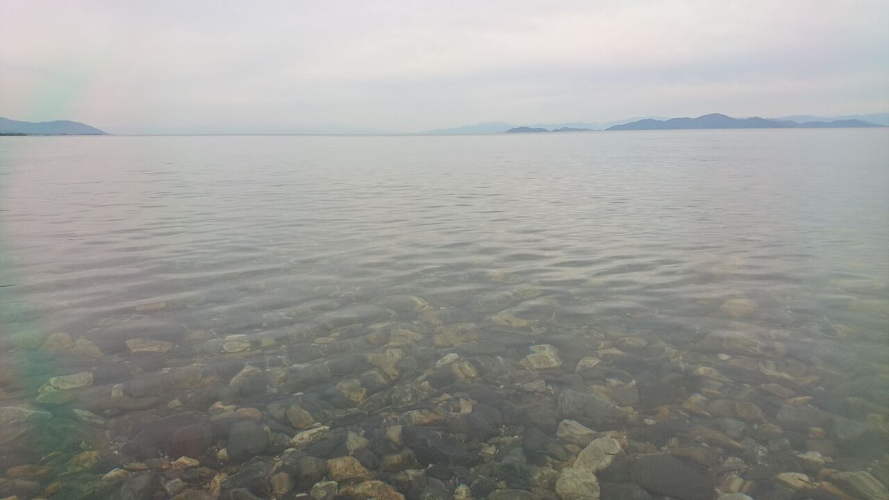 21年6月釣行記録 ケタバス釣り 琵琶湖でハス釣り 肉食淡水魚をルアーで狙う ハス釣り ハス料理 猪丸の釣りとグルメと