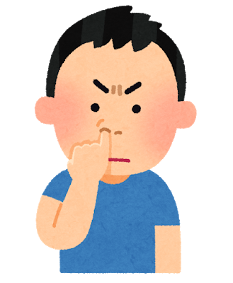 朗報 鼻くそ 掃除不要と判明 医師が17歳女性の鼻の穴を５か月観察した結果 自然に排出 電脳さんぽ 暇つぶしch