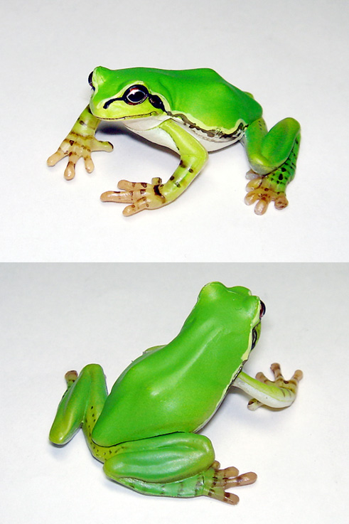 原色両生類カエル図鑑 新改訂版 ニホンアマガエル 12個 原色両生類