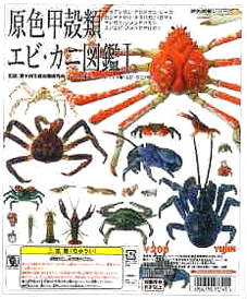 原色甲殻類エビ・カニ図鑑I」販売決定 : 食玩トピックス 原色甲殻類エビ・カニ図鑑I」販売決定 : 食玩トピックス