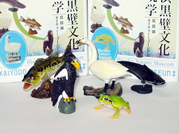 長浜黒壁文化考現学 琵琶湖ネイチャーミュージアム」レビュー : 食玩 