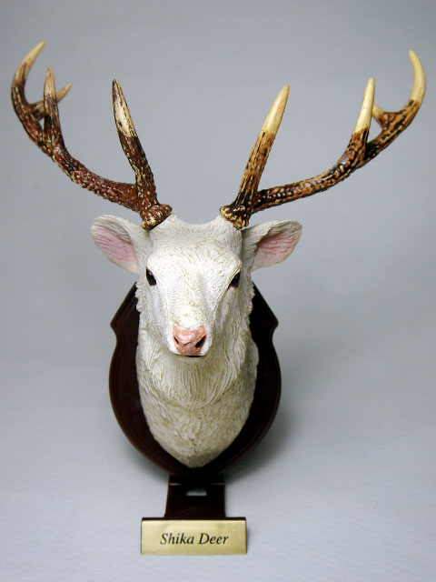 鹿角‼️ハンティングトロフィー‼️大物だけを厳選‼️ 受注製作⋆hunting trophy 