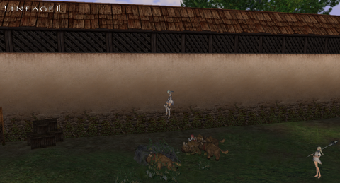 Lineage II 2018_08_18 10_49_15
