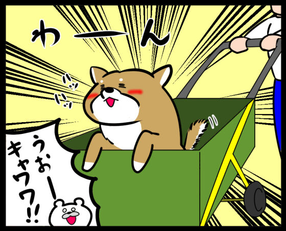 楽しそうなワンコ②