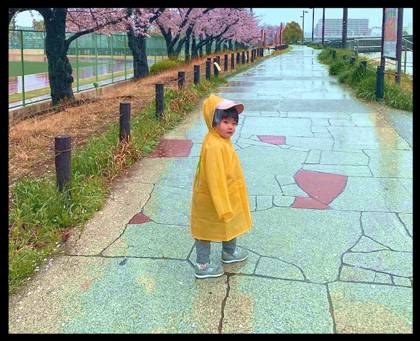 春雨の降りしきる浅草桜ツアー(桜橋花まつり@浅草)⑪