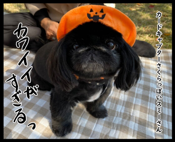 トリックオアトリートおまけ②