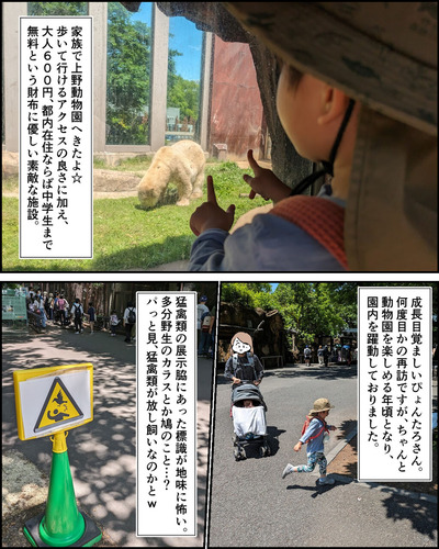 こんな週末があるから頑張れるのかも(上野動物園とか)①