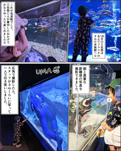 初夏の下町散歩'24(三社祭...etc)⑤