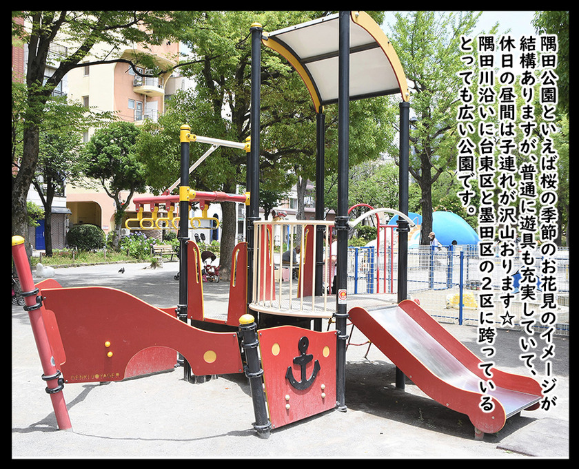 クジラに気を付けて②